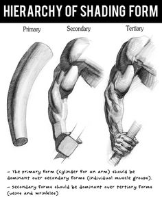 236x295 Best Arm Drawing Images In Sketches, Drawings, Anatomy - Drawing Of An Arm