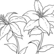 180x180 Fun And Cool Things To Draw When You Are Bored - Drawing Of Cool Things