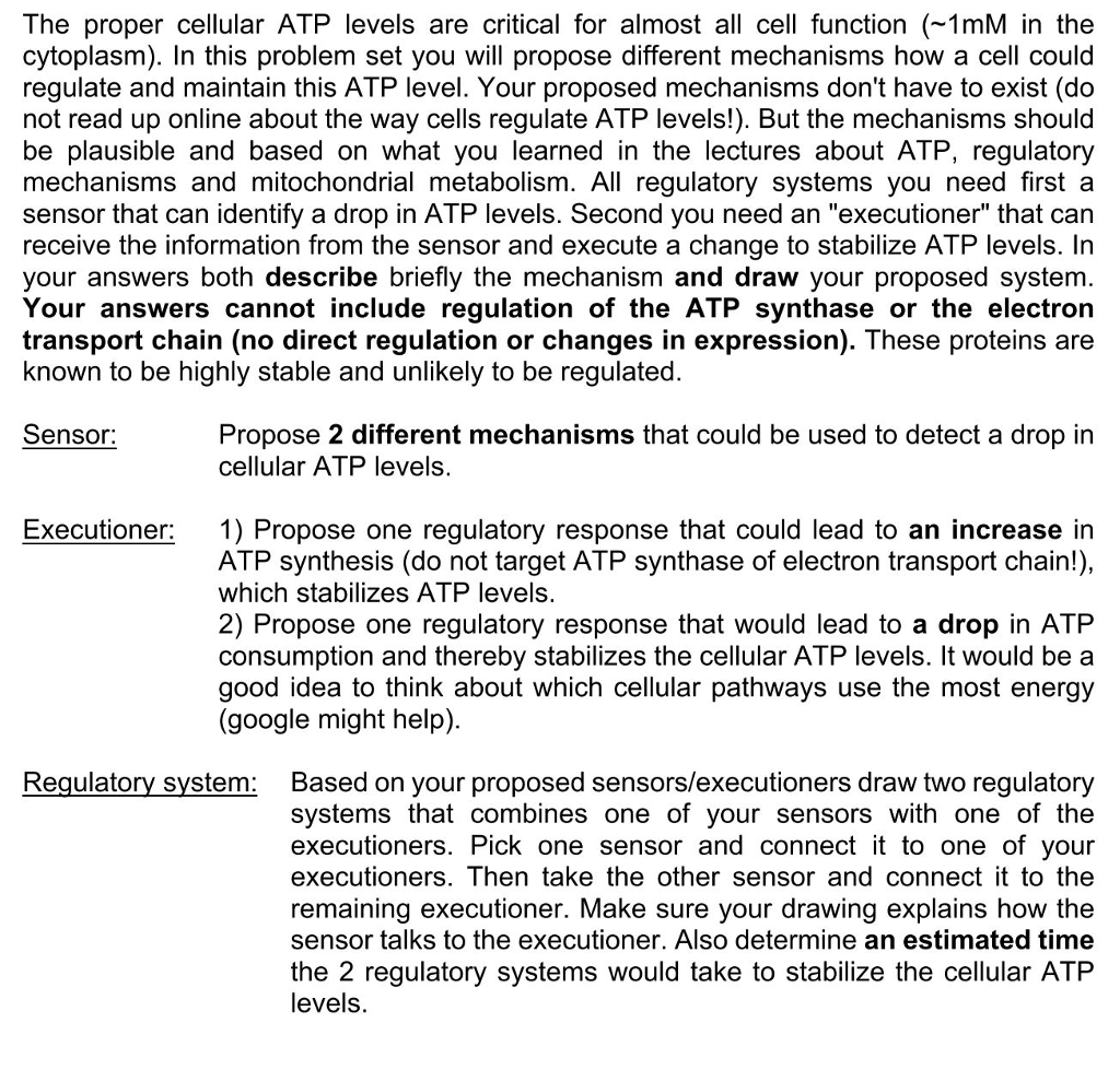 1024x979 solved the proper cellular atp levels are critical for al - Drawing Of Cytoplasm