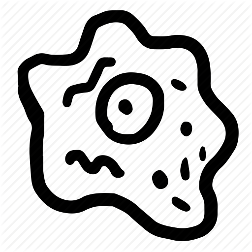 512x512 Avatar, Biology, Cell, Cytoplasm, Education, Hand Drawn, Learning - Drawing Of Cytoplasm