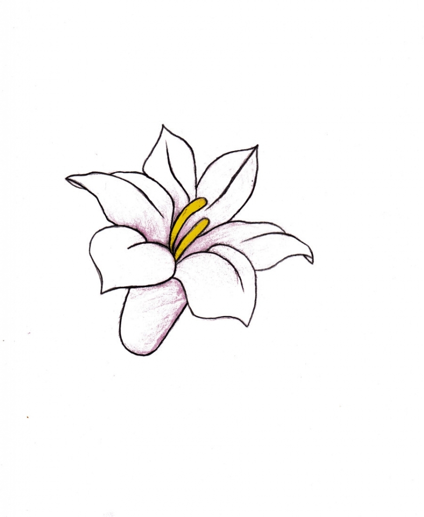 Drawing Of Different Types Of Flowers at Explore