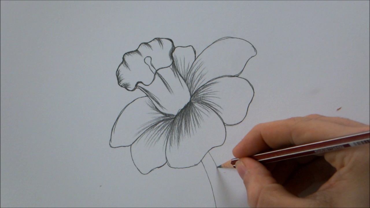 1280x720 How To Draw A Flower Step - Drawing Of Different Types Of Flowers