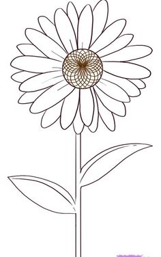236x376 Best How To Draw Tutorials Flowers Images Drawing - Drawing Of Different Types Of Flowers