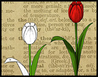 200x157 How To Draw Flowers Drawing Tutorials Drawing How To Draw - Drawing Of Different Types Of Flowers