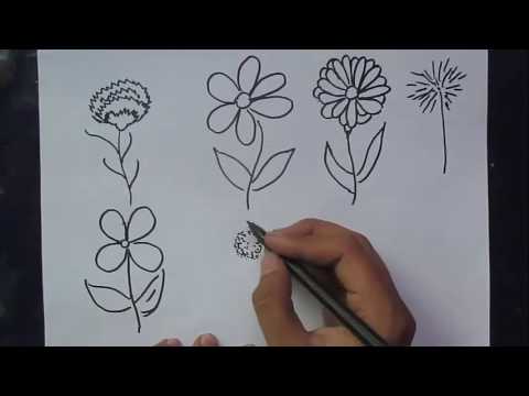 480x360 how to draw different types of flowers sunrise kids channel - Drawing Of Different Types Of Flowers