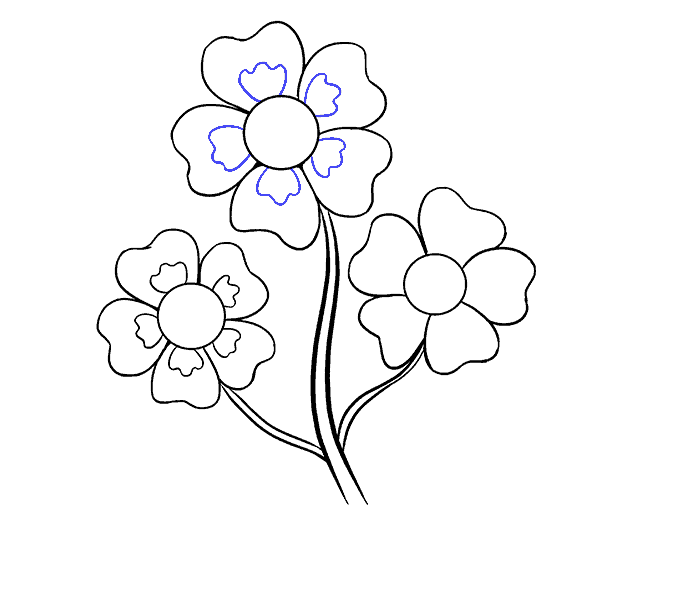 678x600 how to draw different types of flowers step - Drawing Of Different Types Of Flowers