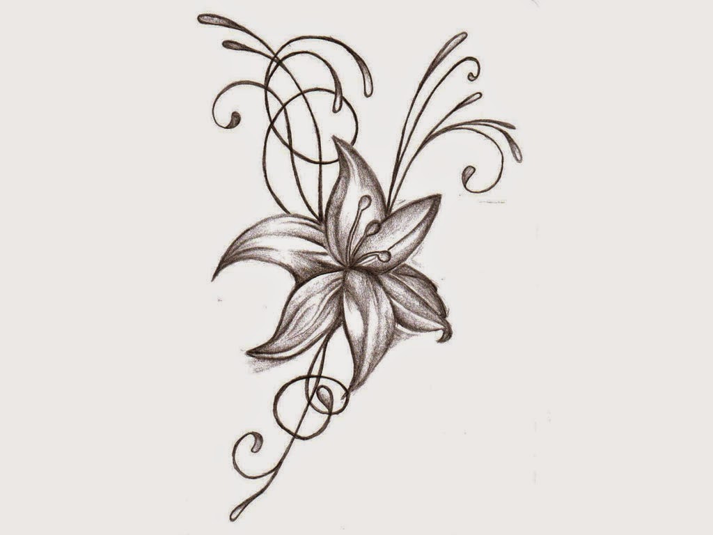 1024x768 Bowlshaped Flowers Drawing - Drawing Of Different Types Of Flowers