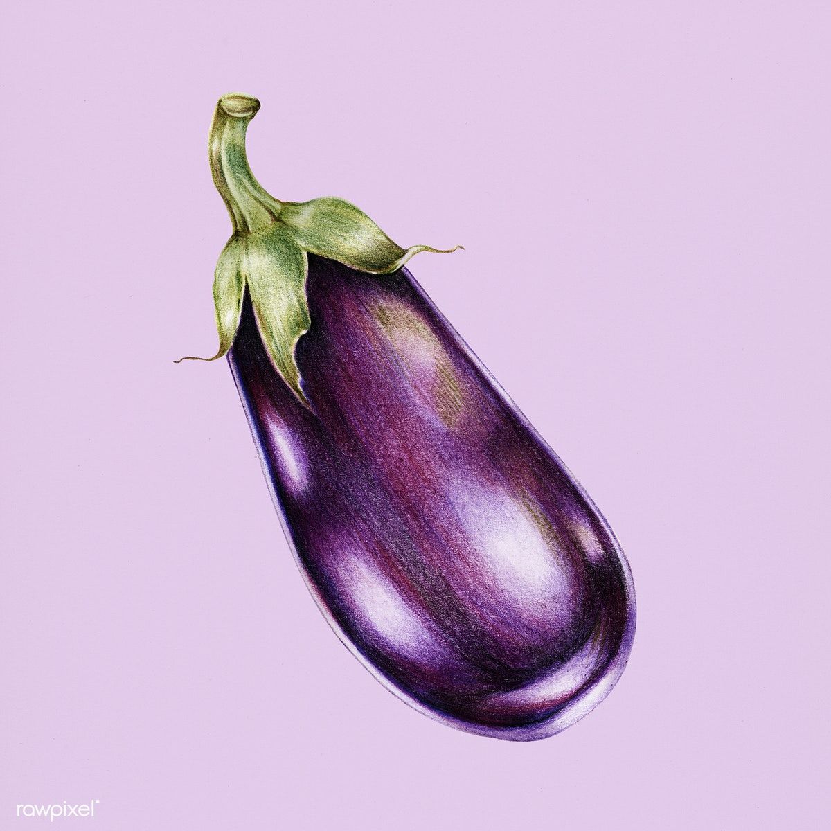 1200x1200 Hand Drawn Watercolor Of Eggplant Premium Image - Drawing Of Eggplant