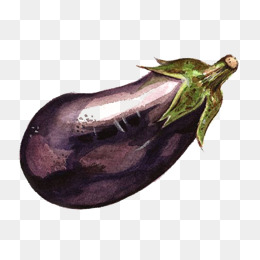 260x260 Drawing Eggplant Png Images Vectors And Free - Drawing Of Eggplant