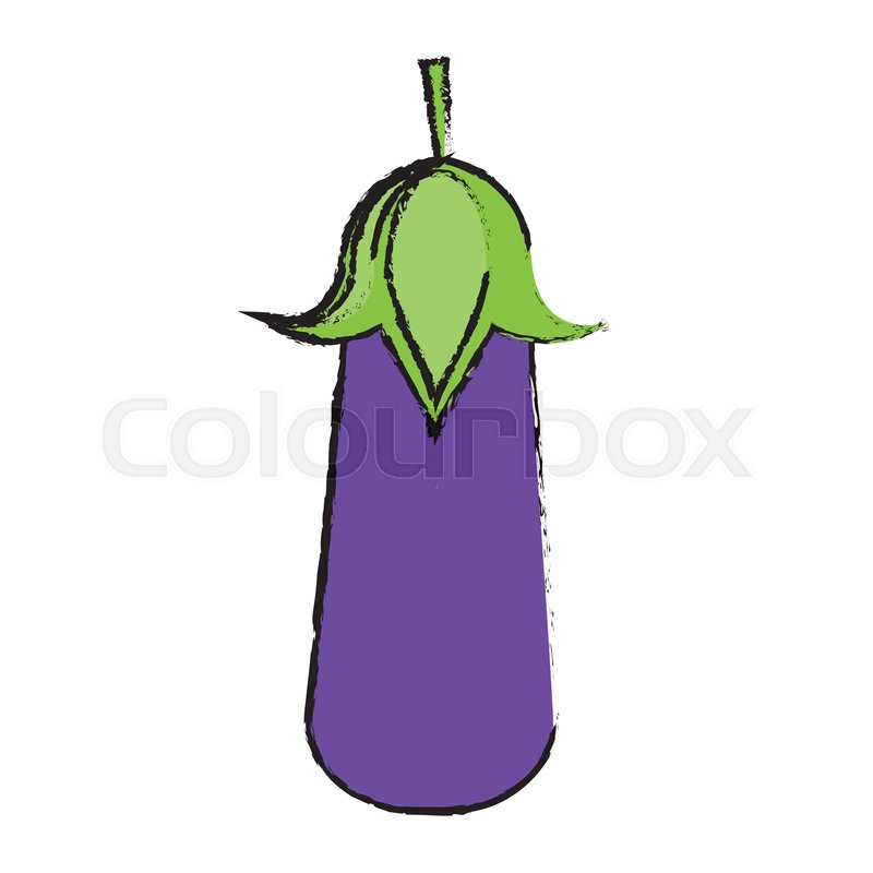 800x800 Drawing Eggplant Vegetable Healthy Stock Vector Colourbox - Drawing Of Eggplant