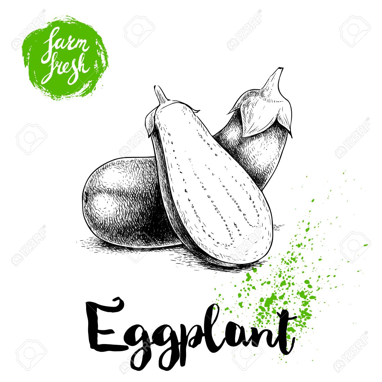 1300x1300 Eggplant Clipart Sketch - Drawing Of Eggplant