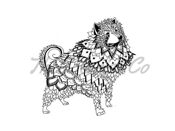 570x428 American Eskimo Dog Coloring - Drawing Of Eskimo