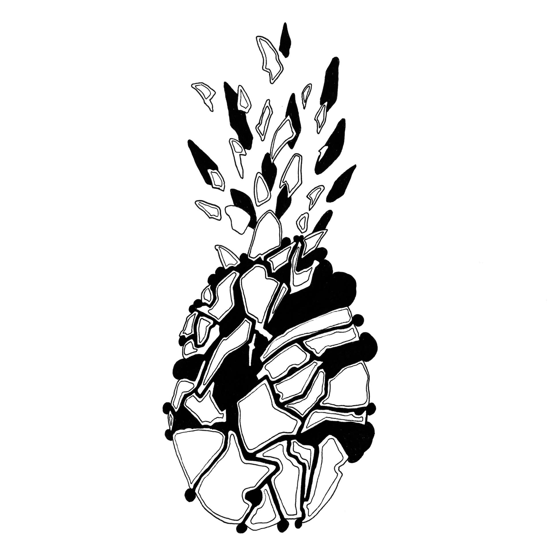 1920x1920 sliced pineapple with inner explosion drawing - Drawing Of Explosion