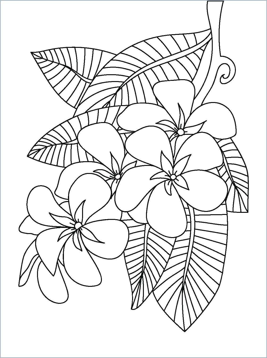 1132x1519 Drawing Of Flower Vase For Kid Flower Coloring Pages Fabulous - Drawing Of Flower Vase For Kid