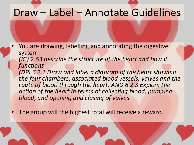 638x479 The Heart Draw, Label, Annotate - Drawing Of Heart With Labels