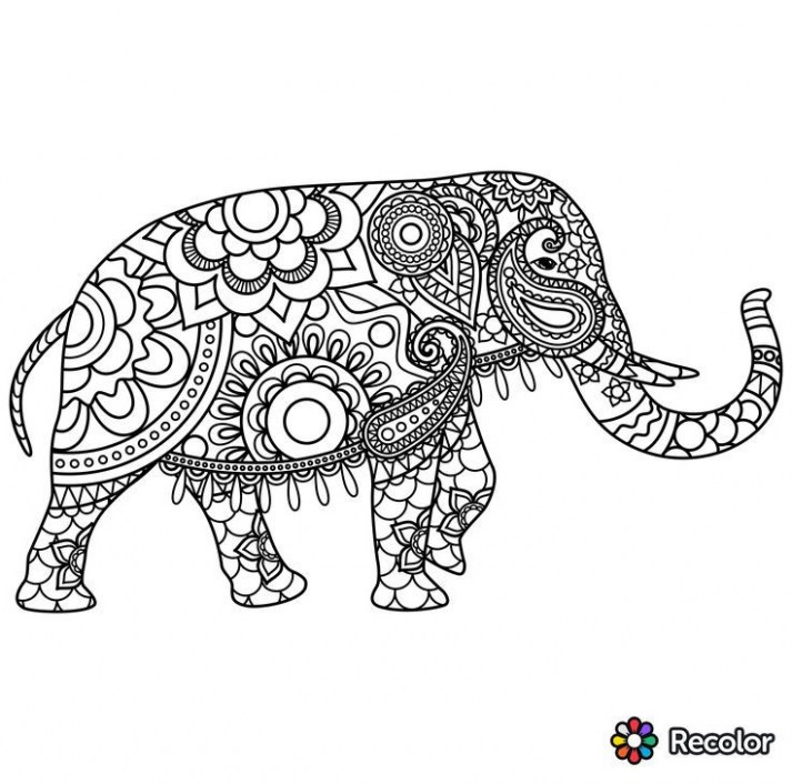 713x706 Elephants Coloring Pages New Inspirational Indian Elephant - Drawing Of Indian Elephant