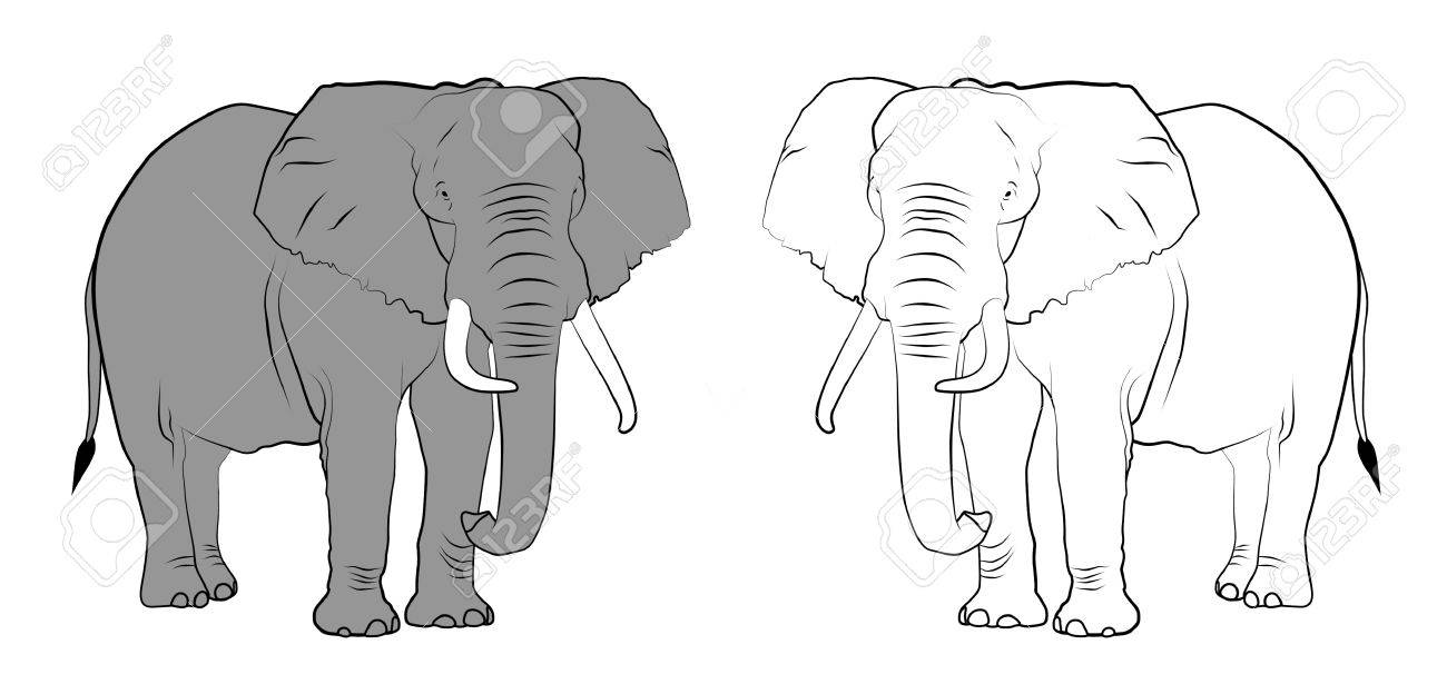 1300x615 Emerging Drawing Of Elephants Indian Elephant Pencil Easy - Drawing Of Indian Elephant