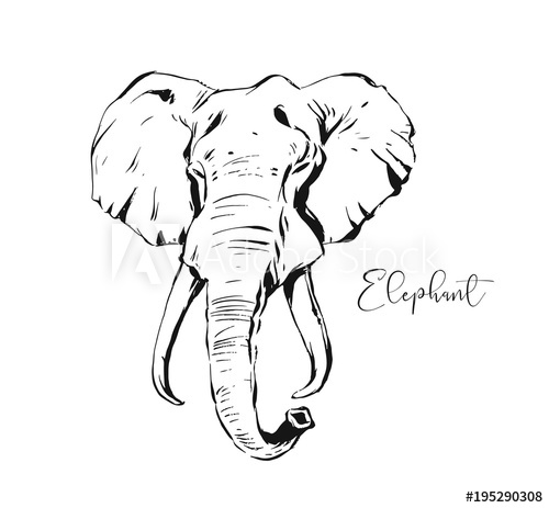 500x463 hand drawn vector abstract artistic ink textured graphic sketch - Drawing Of Indian Elephant