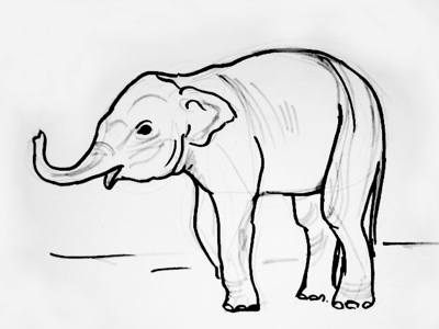 400x300 How To Draw A Baby Elephant - Drawing Of Indian Elephant