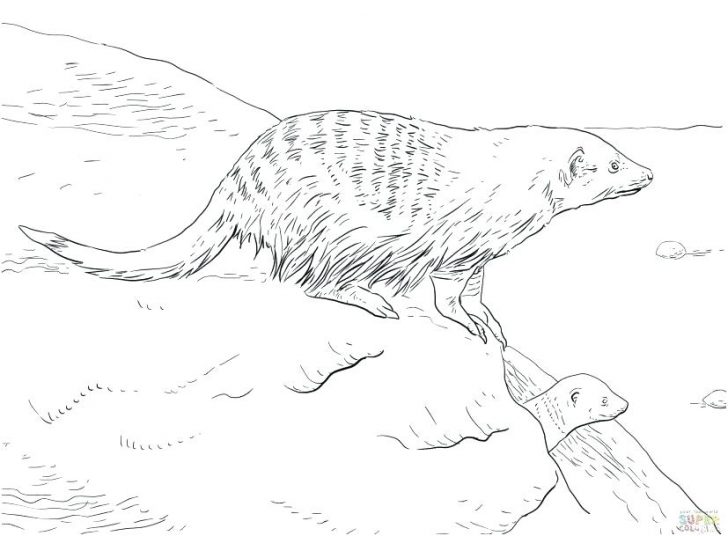 728x536 Giraffe Coloring Pages For Toddlers With Baby Free Printable - Drawing Of Jungle With Animals