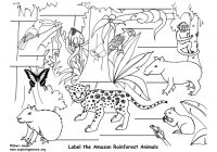 200x140 simple jungle animal coloring pages with easy drawing - Drawing Of Jungle With Animals