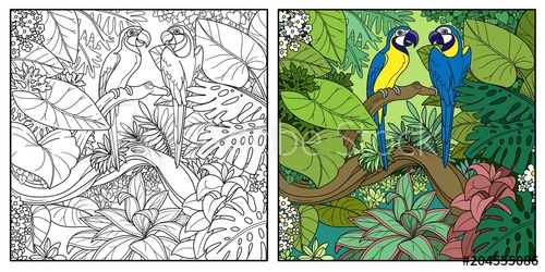 500x250 wild jungle with two parrots of macaw sit on branch over forest - Drawing Of Jungle With Animals