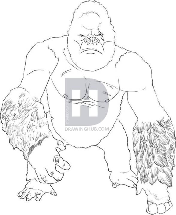 588x720 How To Draw King Kong, Step - Drawing Of King