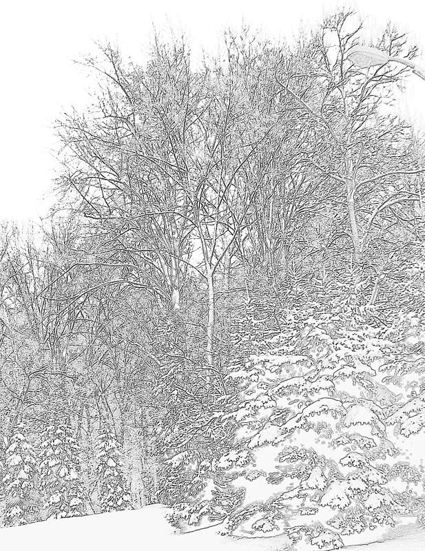 617x800 Pencil Drawing Of Snow Storm Photograph - Drawing Of Snow