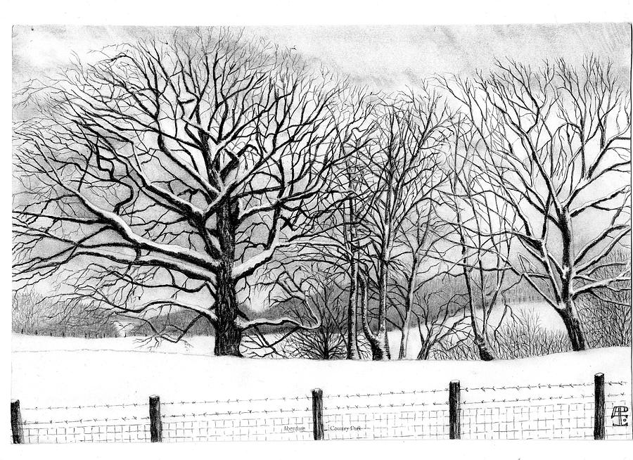900x654 Snow Scene Aberdare Country Park Drawing - Drawing Of Snow