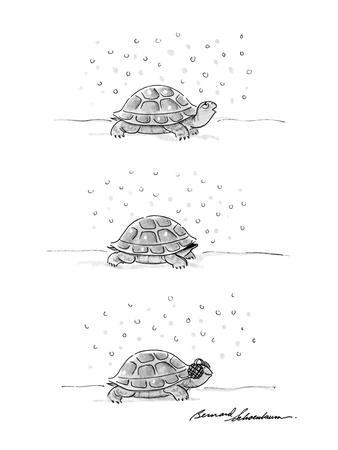 338x450 Three Panel Drawing Of Turtle He Walks Outside In The Snow He - Drawing Of Snow
