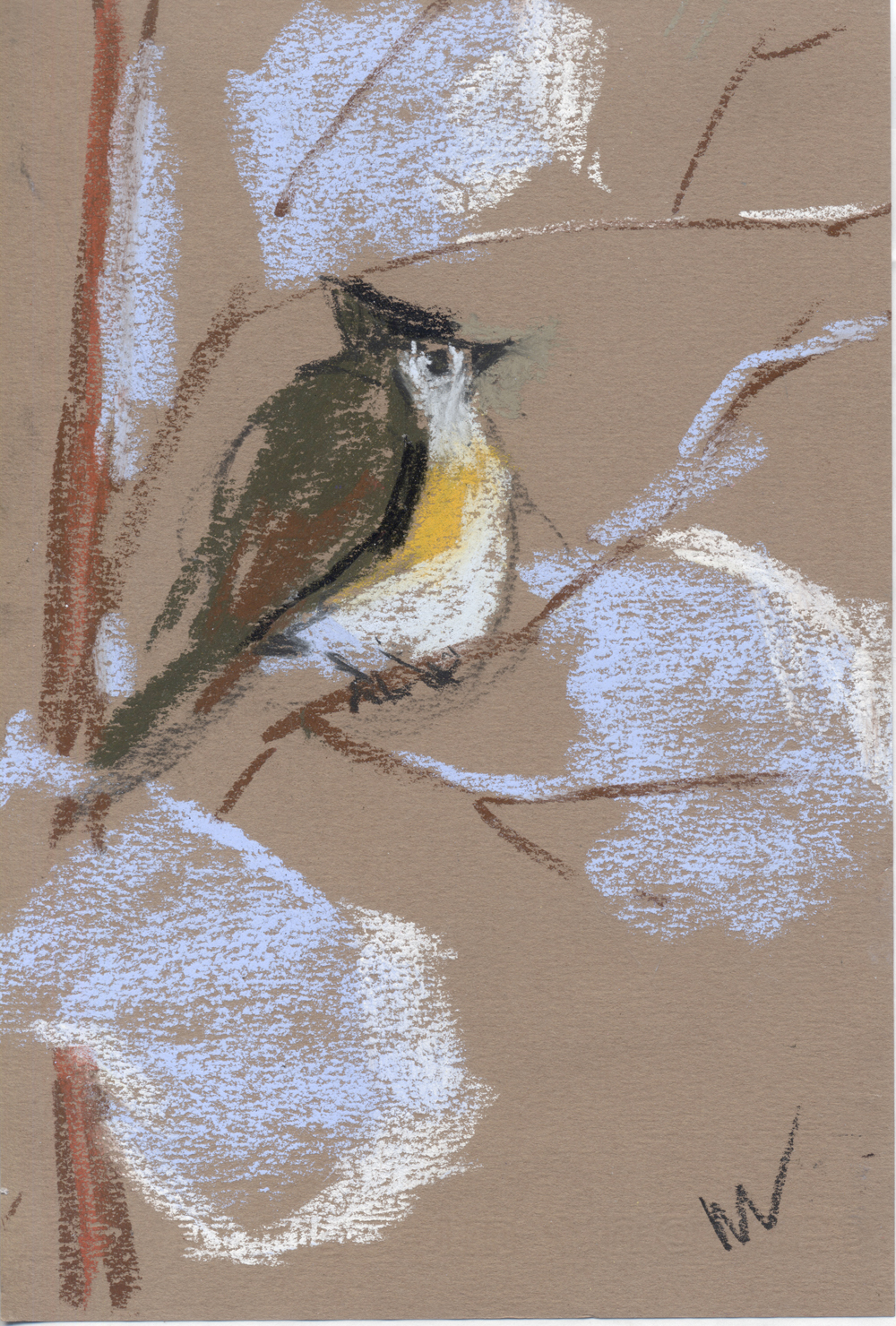 1000x1480 Titmouse Pastel Drawing Of A Bird On A Branch With Snow - Drawing Of Snow