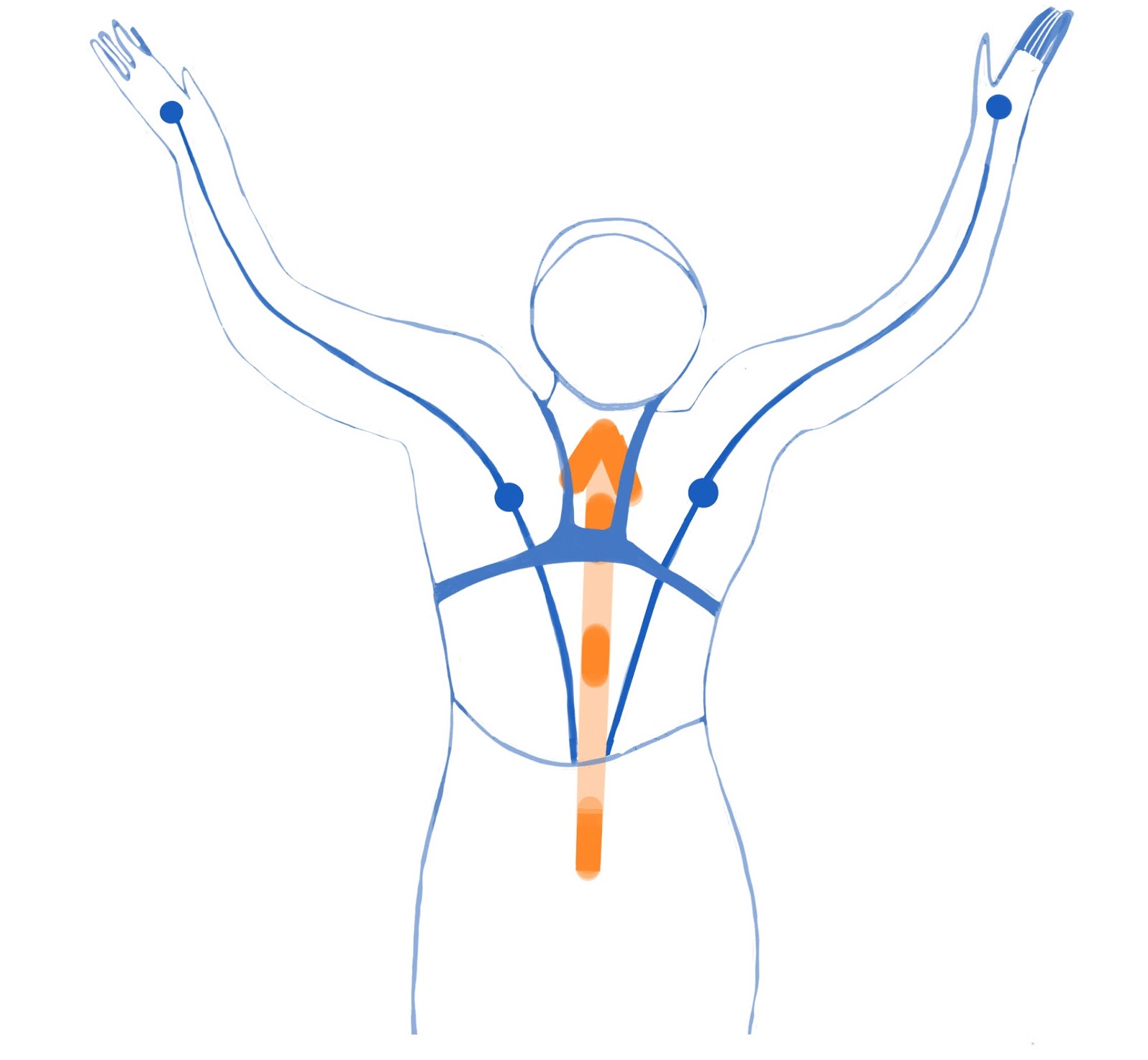 1600x1478 Santasport Swimming - Drawing Of Someone Swimming