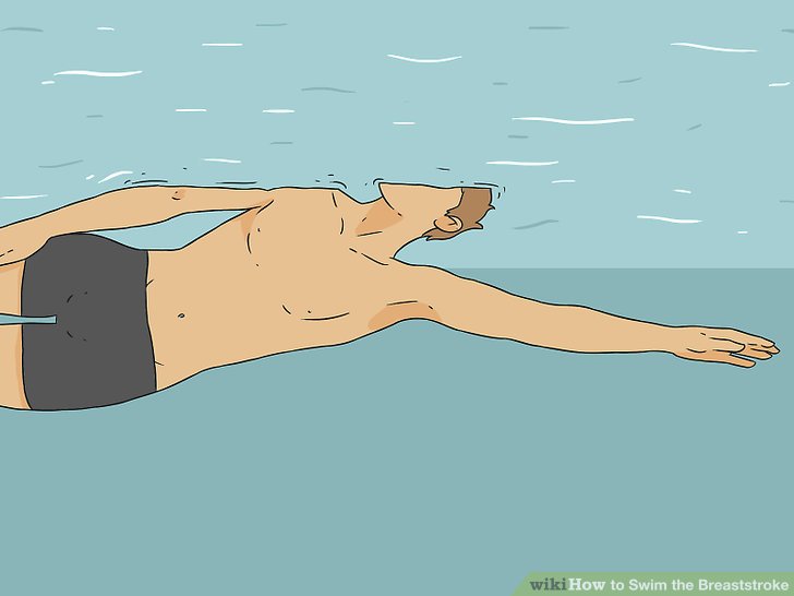 728x546 how to swim the breaststroke - Drawing Of Someone Swimming