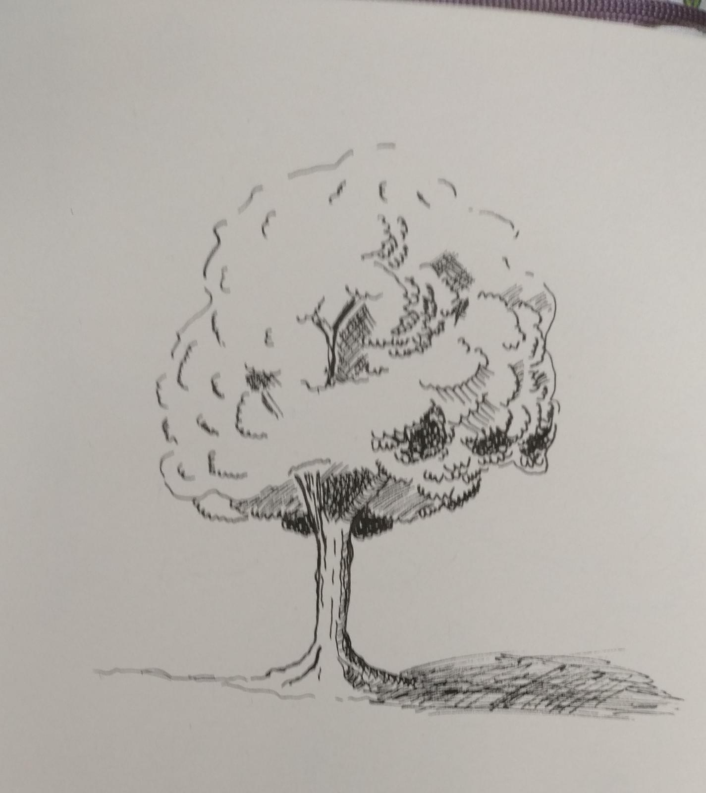 1425x1600 can someone help i cant really draw trees i went through video - Drawing Of Someone Thinking