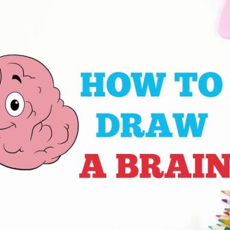 336x336 Drawing Easy For Kids Brain Image Things With Labels Girl Flowers - Drawing Of The Brain With Labels