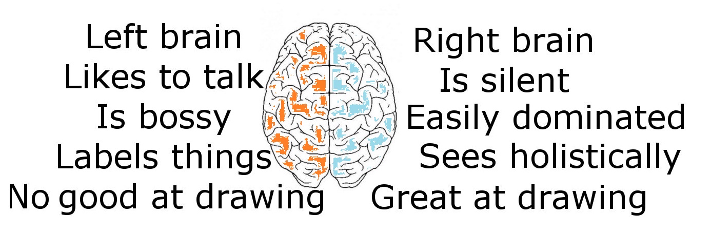 1386x452 artclass challenge why do my drawings look childish answer your - Drawing Of The Brain With Labels