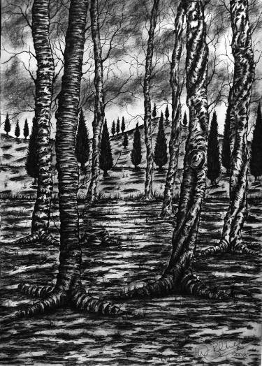  Drawing Of The Woods at PaintingValley.com Explore 