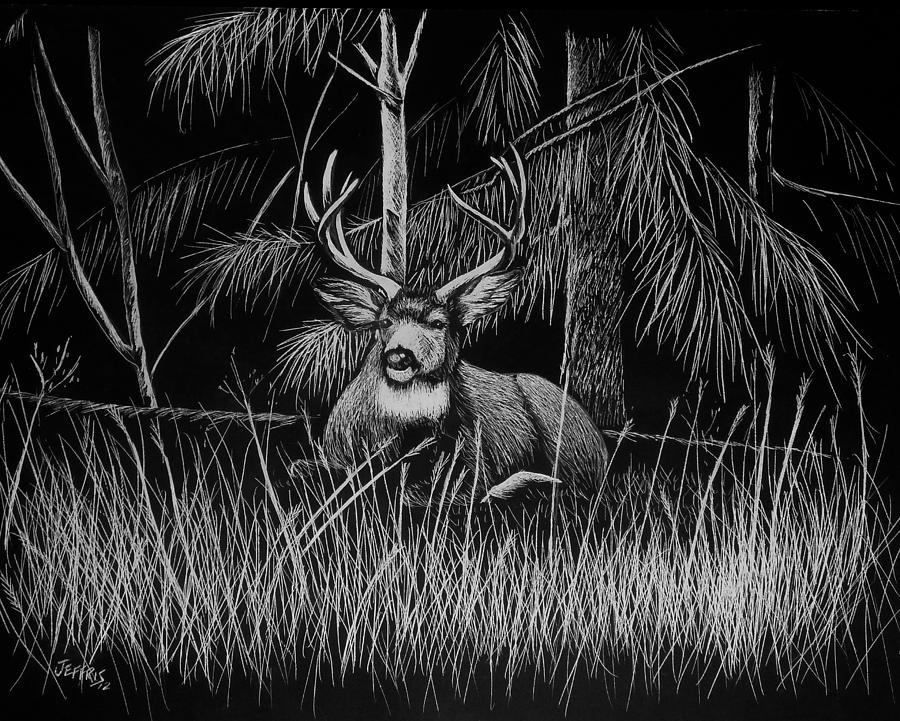 900x721 Deer In The Woods Drawing - Drawing Of The Woods
