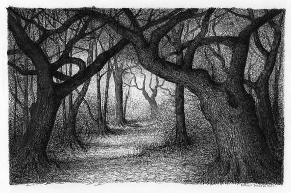 Drawing Of The Woods at PaintingValley.com | Explore collection of ...