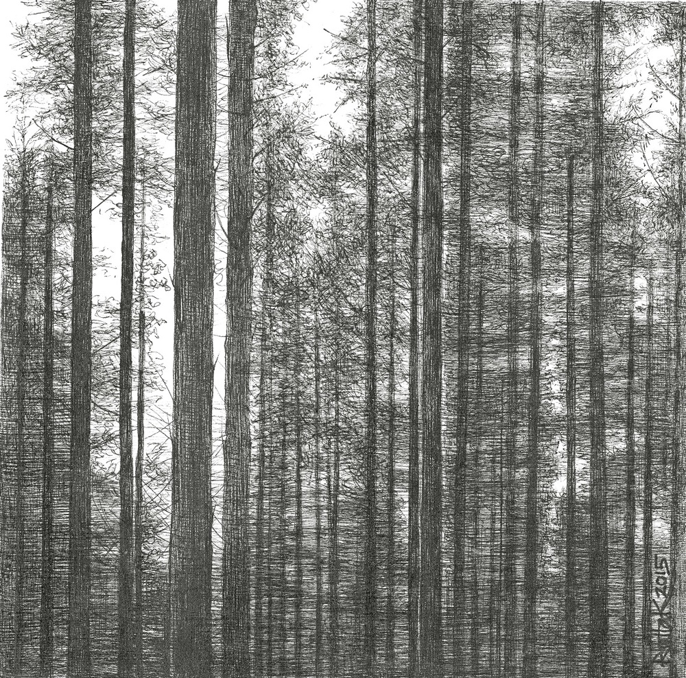 1000x988 Into The Woods' With Michael Kenna, Michael Wolf, Fan Ho Blue - Drawing Of The Woods