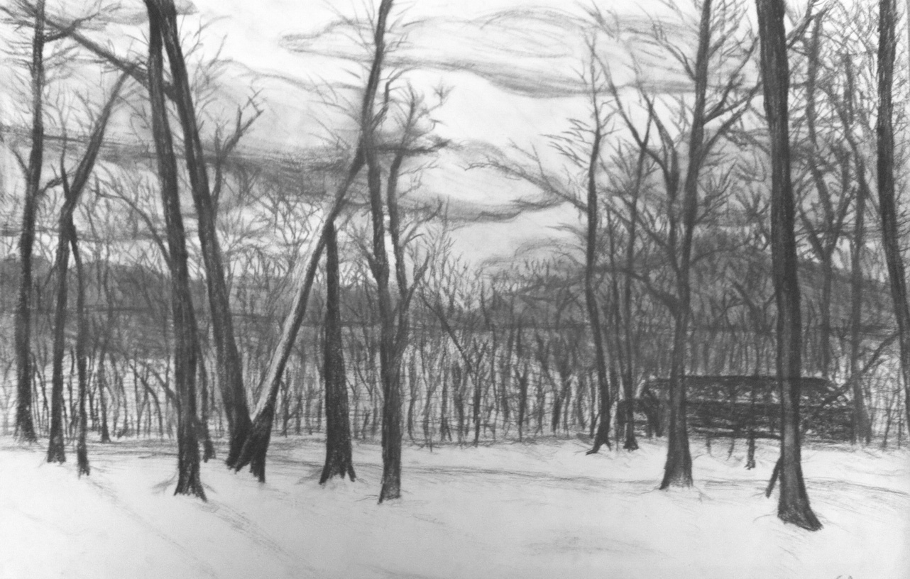 1282x816 Lacey Smith Artwork Charcoal Woods Original Drawing Charcoal - Drawing Of The Woods