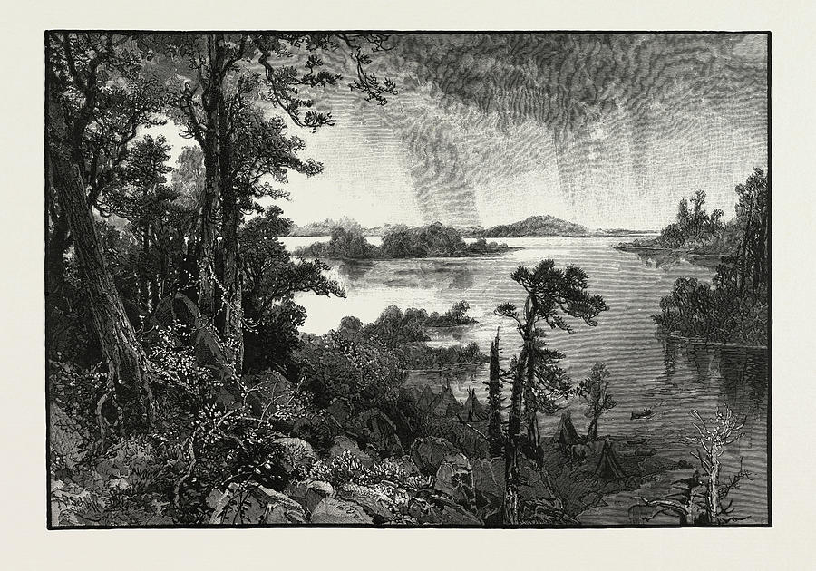 900x630 Lake Of The Woods, Canada Drawing - Drawing Of The Woods