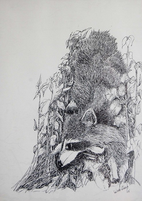495x700 Out Of The Woods Drawing - Drawing Of The Woods