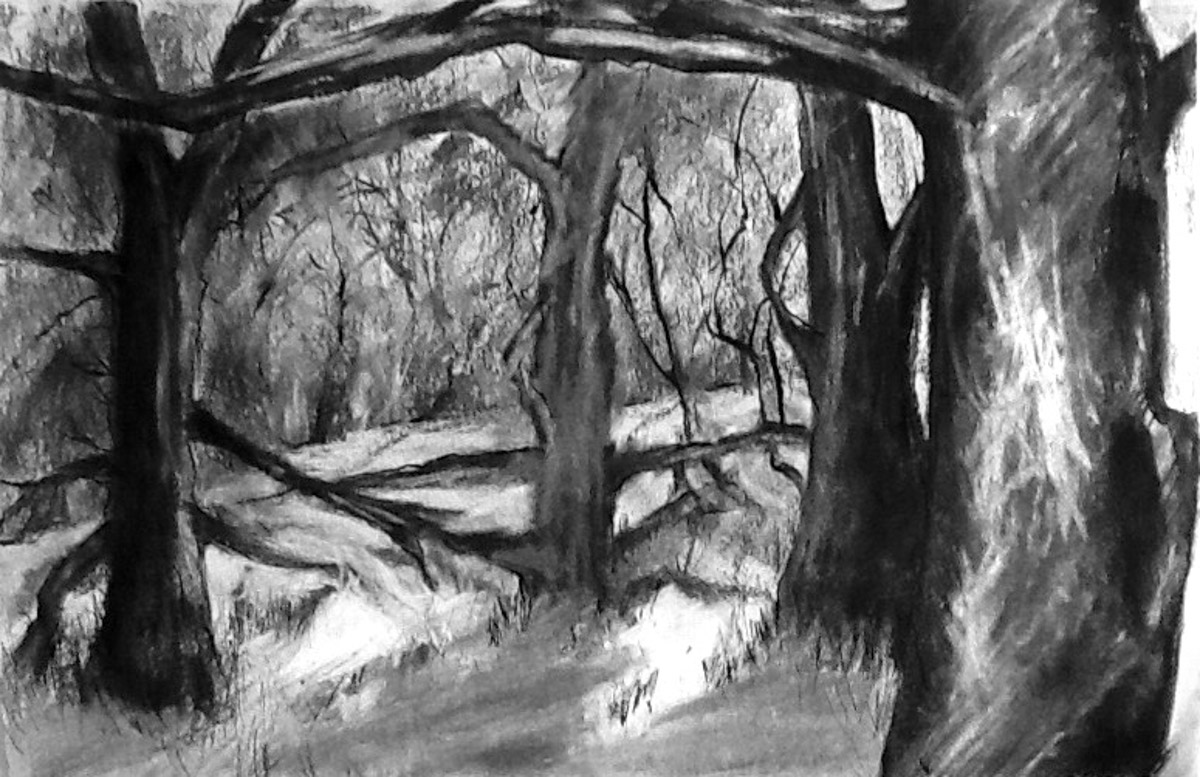 1200x777 Robin Siegl Drawing Gallery - Drawing Of The Woods