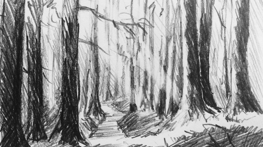 Drawing Of The Woods at PaintingValley.com | Explore collection of ...