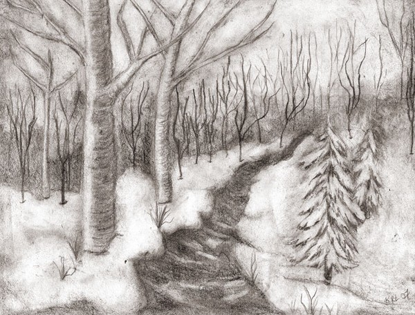 600x456 Snowy Woods - Drawing Of The Woods