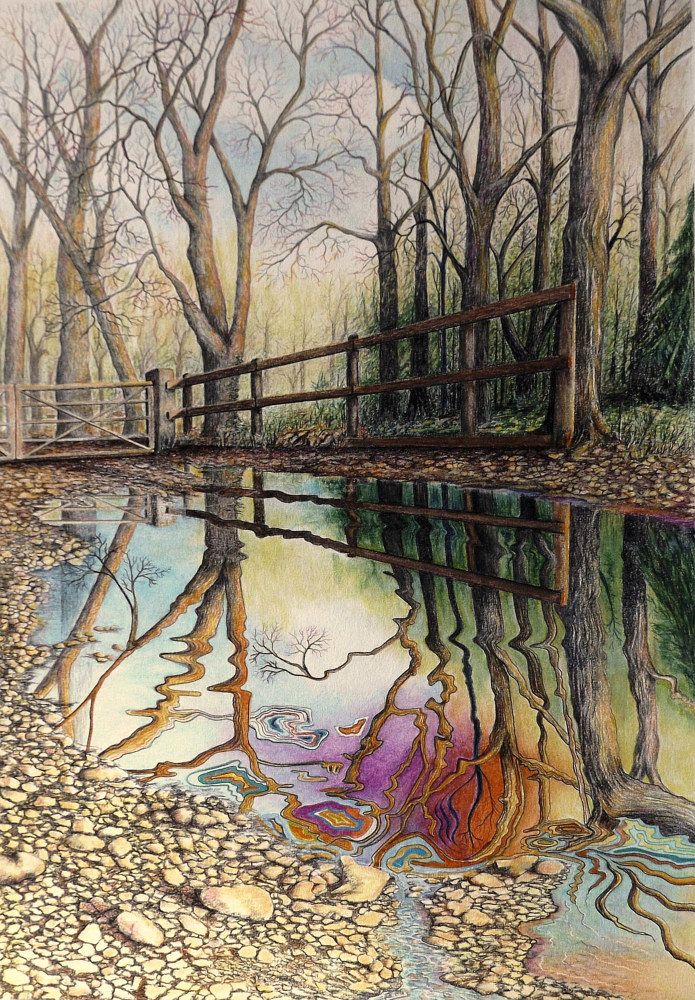 695x1000 Spirit Of The Woods Colored Pencil Drawings Art, Color Pencil - Drawing Of The Woods