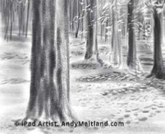 242x196 Ipad Art Blog - Drawing Of The Woods