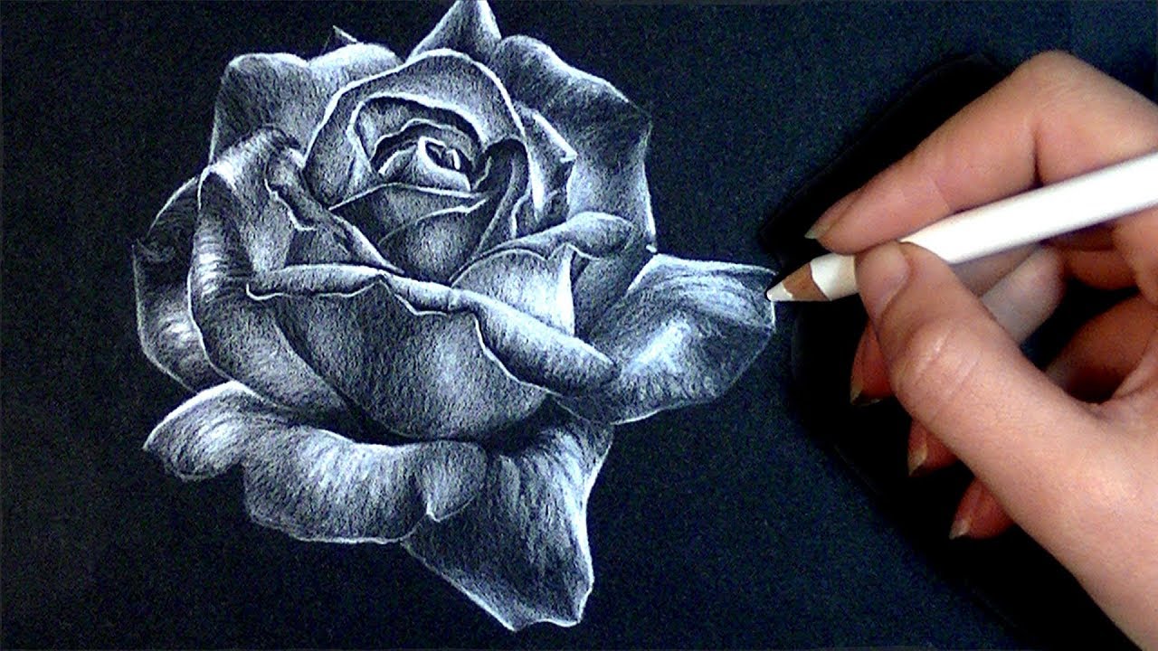 1280x720 Realistic Rose Drawing On Black Paper Drawing - Drawing On Black Paper
