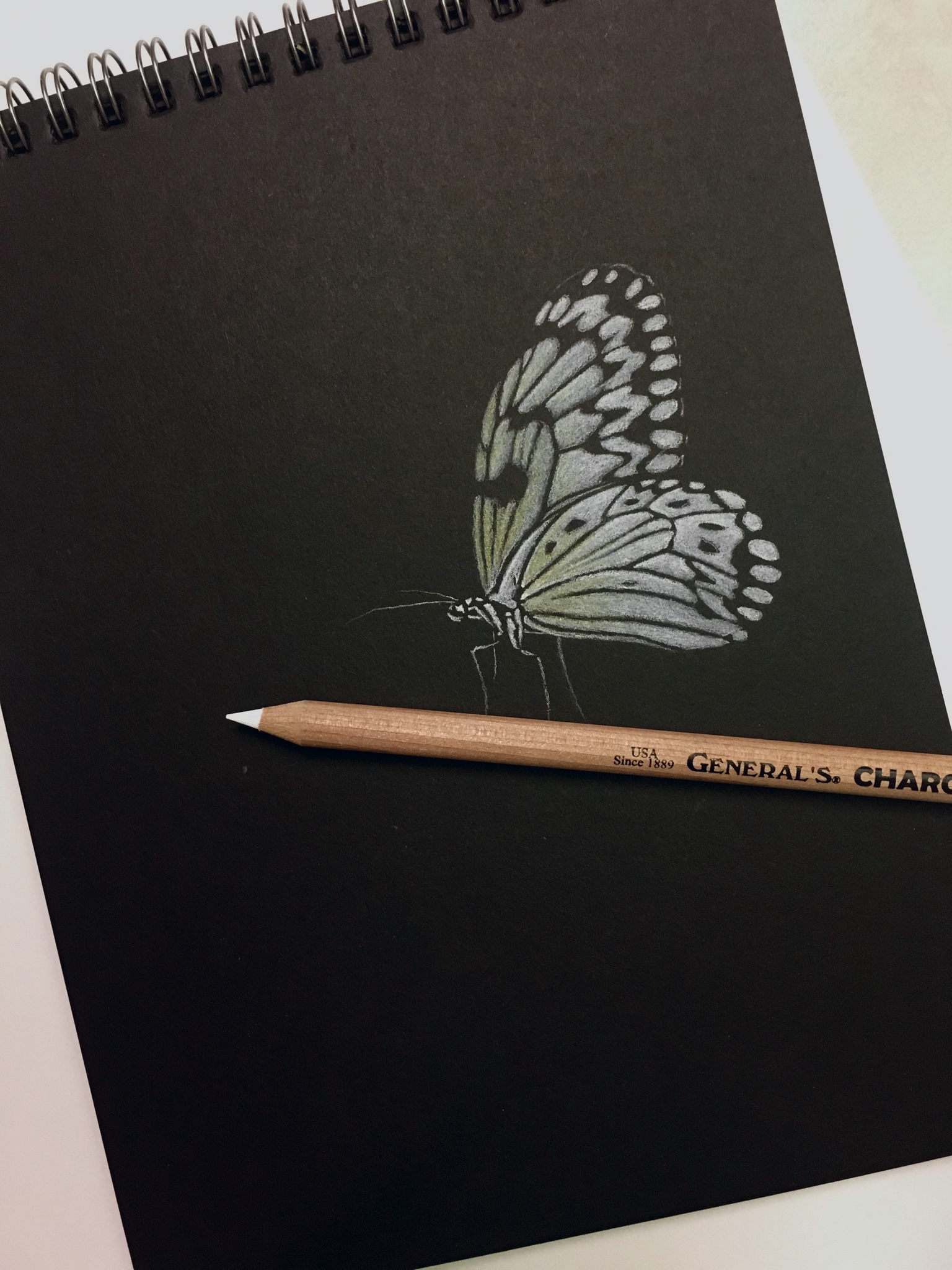 1536x2048 White Butterfly Drawing On Black Paper - Drawing On Black Paper